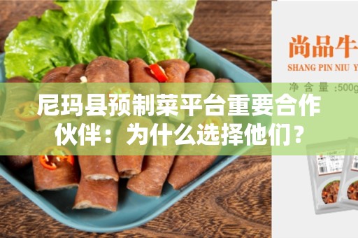 尼玛县预制菜平台重要合作伙伴：为什么选择他们？