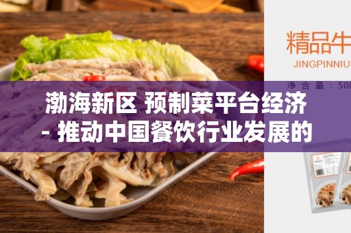 渤海新区 预制菜平台经济- 推动中国餐饮行业发展的新动力