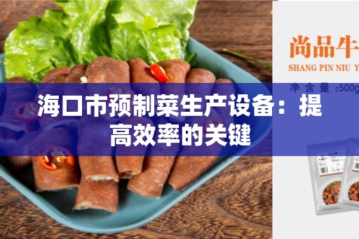 海口市预制菜生产设备：提高效率的关键