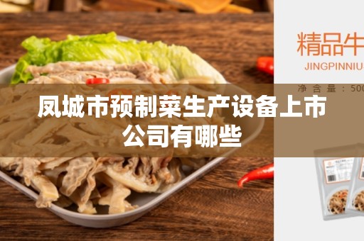 凤城市预制菜生产设备上市公司有哪些
