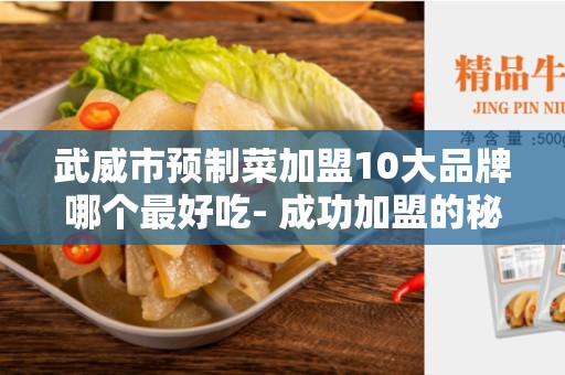 武威市预制菜加盟10大品牌哪个最好吃- 成功加盟的秘诀