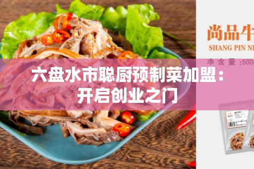 六盘水市聪厨预制菜加盟：开启创业之门