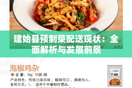 建始县预制菜配送现状：全面解析与发展前景