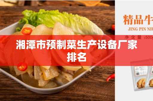 湘潭市预制菜生产设备厂家排名