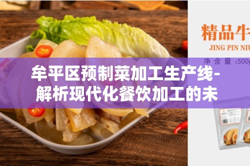 牟平区预制菜加工生产线- 解析现代化餐饮加工的未来