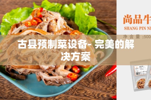 古县预制菜设备- 完美的解决方案