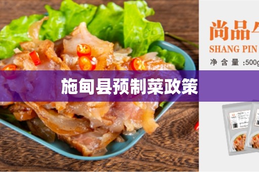 施甸县预制菜政策