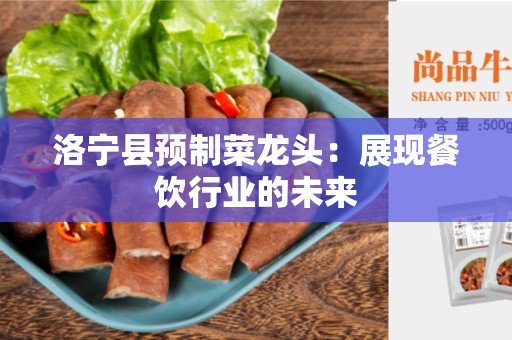 洛宁县预制菜龙头：展现餐饮行业的未来