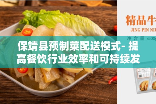保靖县预制菜配送模式- 提高餐饮行业效率和可持续发展的创新解决方案