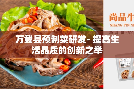 万载县预制菜研发- 提高生活品质的创新之举