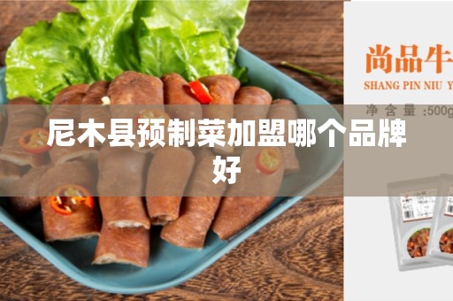 尼木县预制菜加盟哪个品牌好