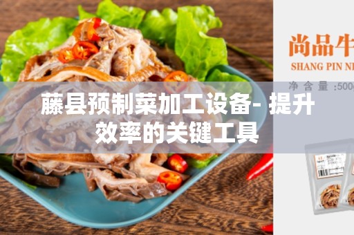 藤县预制菜加工设备- 提升效率的关键工具