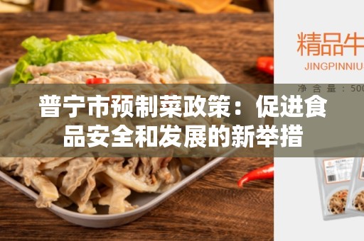普宁市预制菜政策：促进食品安全和发展的新举措