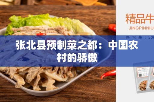 张北县预制菜之都：中国农村的骄傲