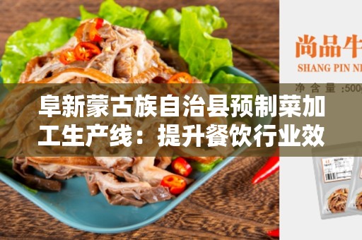 阜新蒙古族自治县预制菜加工生产线：提升餐饮行业效率的关键