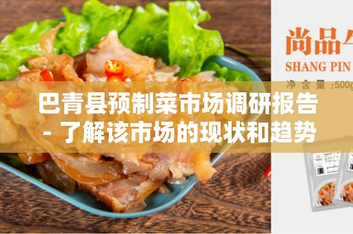 巴青县预制菜市场调研报告 - 了解该市场的现状和趋势