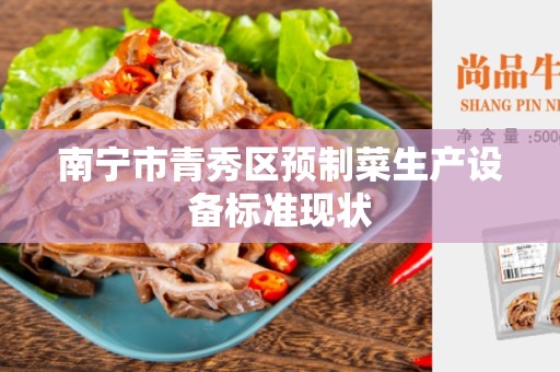 南宁市青秀区预制菜生产设备标准现状