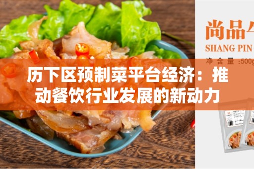 历下区预制菜平台经济：推动餐饮行业发展的新动力