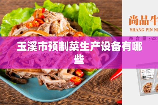 玉溪市预制菜生产设备有哪些