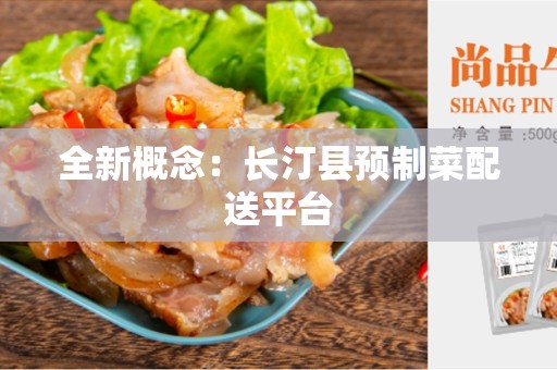 全新概念：长汀县预制菜配送平台