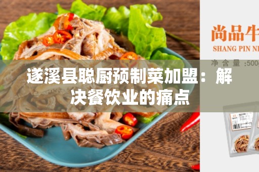 遂溪县聪厨预制菜加盟：解决餐饮业的痛点