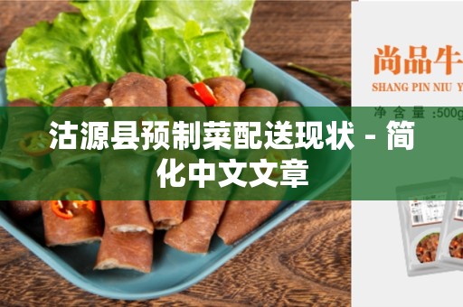 沽源县预制菜配送现状 - 简化中文文章