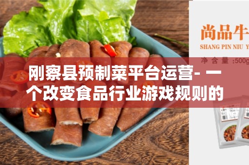 刚察县预制菜平台运营- 一个改变食品行业游戏规则的创新
