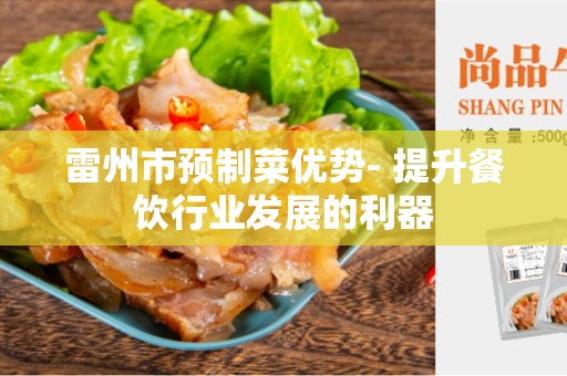 雷州市预制菜优势- 提升餐饮行业发展的利器