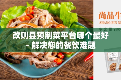 改则县预制菜平台哪个最好- 解决您的餐饮难题