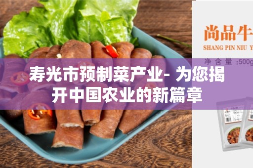寿光市预制菜产业- 为您揭开中国农业的新篇章