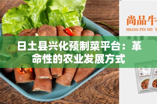 日土县兴化预制菜平台：革命性的农业发展方式