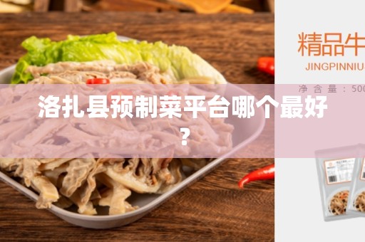 洛扎县预制菜平台哪个最好？