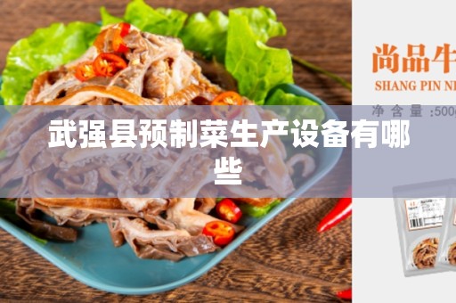武强县预制菜生产设备有哪些