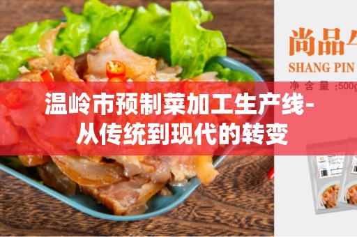 温岭市预制菜加工生产线- 从传统到现代的转变