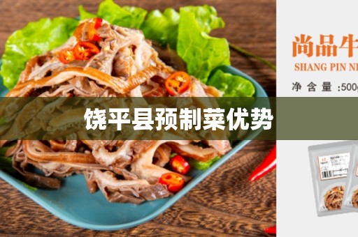 饶平县预制菜优势