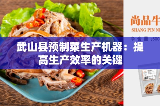 武山县预制菜生产机器：提高生产效率的关键