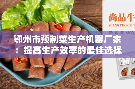 鄂州市预制菜生产机器厂家：提高生产效率的最佳选择