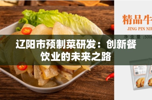 辽阳市预制菜研发：创新餐饮业的未来之路