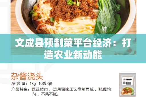 文成县预制菜平台经济：打造农业新动能