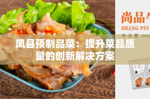 凤县预制品菜：提升菜品质量的创新解决方案
