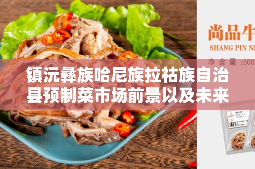 镇沅彝族哈尼族拉祜族自治县预制菜市场前景以及未来趋势