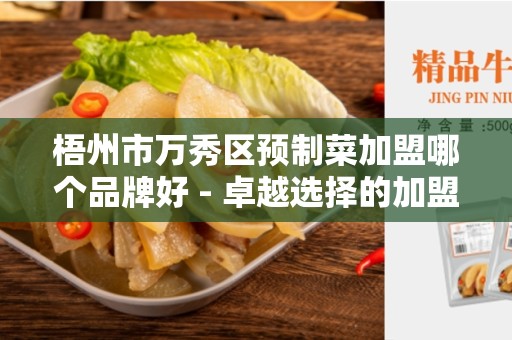 梧州市万秀区预制菜加盟哪个品牌好 - 卓越选择的加盟品牌