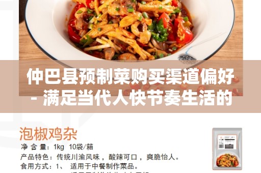 仲巴县预制菜购买渠道偏好- 满足当代人快节奏生活的需求