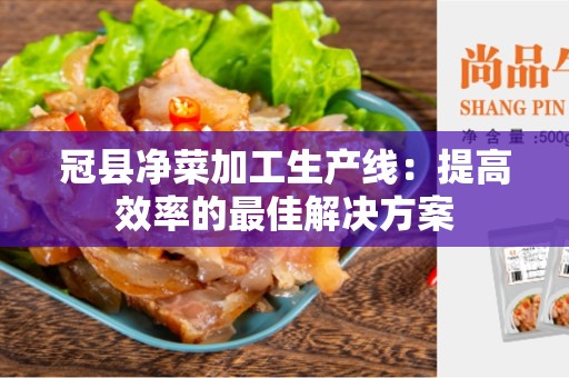 冠县净菜加工生产线：提高效率的最佳解决方案