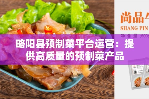 略阳县预制菜平台运营：提供高质量的预制菜产品