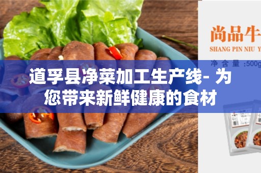 道孚县净菜加工生产线- 为您带来新鲜健康的食材