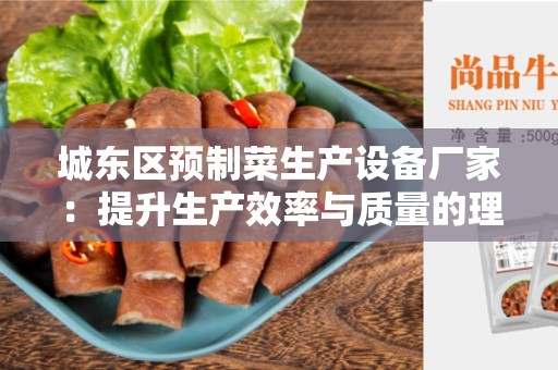 城东区预制菜生产设备厂家：提升生产效率与质量的理想选择