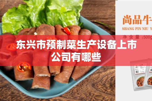 东兴市预制菜生产设备上市公司有哪些