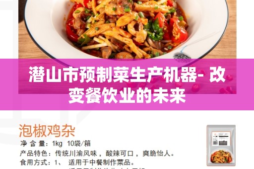 潜山市预制菜生产机器- 改变餐饮业的未来