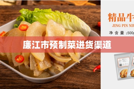 廉江市预制菜进货渠道